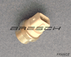 Capteur Temp Eau - Bresch SAS