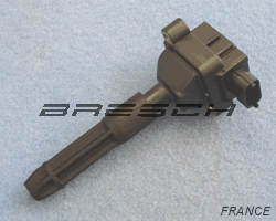 Bobine 1 Sortie 080417 - Ref 080417 Bresch SAS