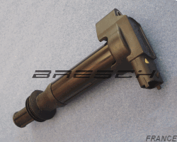 Bobine 1 Sortie 080627 - Ref 080627 Bresch SAS