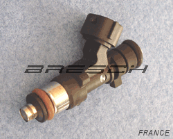 Injecteur Multi.P - Bresch SAS