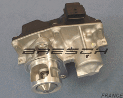 Vanne EGR Electrique 95519706 - Ref 241601 Bresch SAS