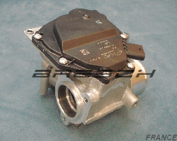 Vanne EGR Electrique 88429 - Ref 241669BR Bresch SAS