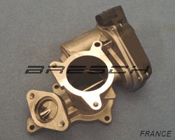 Vanne EGR 93082 - Ref 250200 Bresch SAS