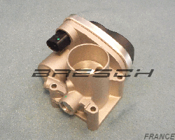 Corps Papillon - Bresch SAS