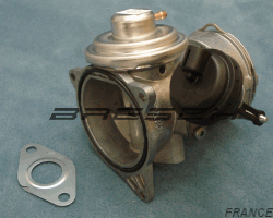 Vanne EGR + Papillon Etouffoir 83825 - Ref 250228 Bresch SAS
