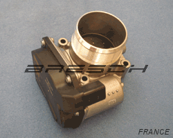 Corps Papillon 250253 - Ref 250253 Bresch SAS