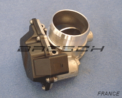 Corps Papillon - Bresch SAS