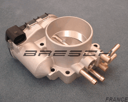Corps Papillon - Bresch SAS