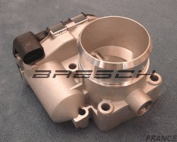 Corps Papillon - Bresch SAS