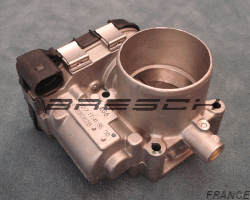 Corps Papillon 88187 - Ref 250321 Bresch SAS