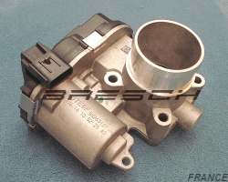Corps Papillon - Bresch SAS