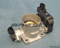 Corps Papillon 250434BR - Ref 250434BR Bresch SAS