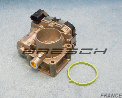 Corps Papillon - Bresch SAS
