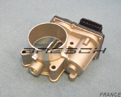 Corps Papillon - Bresch SAS