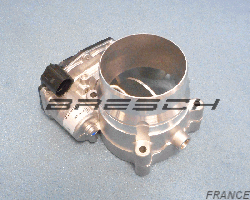 Corps Papillon 250458BR - Ref 250458BR Bresch SAS