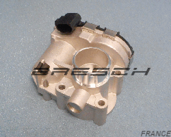 Corps Papillon Q0003094V006000000 - Ref 250459BR Bresch SAS