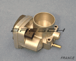 Corps Papillon - Bresch SAS