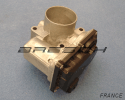 Corps Papillon - Bresch SAS