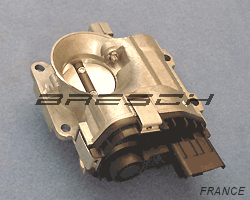 Corps Papillon - Bresch SAS