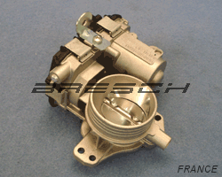 Corps Papillon - Bresch SAS