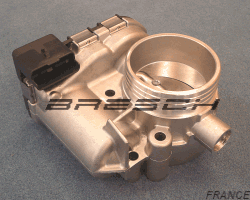 Corps Papillon - Bresch SAS