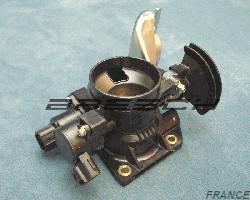 Corps Papillon 250724 - Ref 250724 Bresch SAS