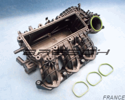 CORPS PAPILLON