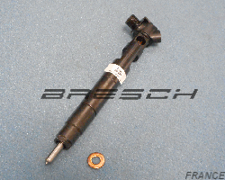 Injecteur Commonrail DELPHI Ech. Std. 98849 - Ref 280191ES Bresch SAS