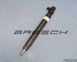 Injecteur Commonrail DELPHI Ech. Std. 347009 - Ref 280521ES Bresch SAS