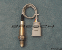 SONDE O2 5 FILS