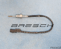 Capteur Température Echappement 226404039R - Ref 380340 Bresch SAS