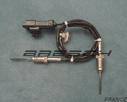 Capteur Température Echappement Double EGT17139 - Ref 380597BR Bresch SAS