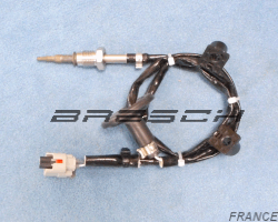 Capt Temp Echapp 380865BR - Bresch SAS