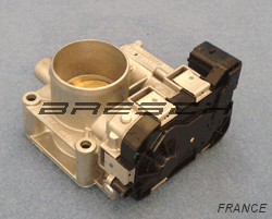 Corps Papillon - Bresch SAS