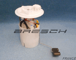Bloc Pompe Immergée 172026203R - Ref 45195BR Bresch SAS
