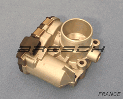 Corps Papillon - Bresch SAS