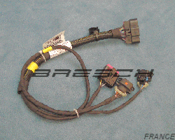 Cablage Pompe Imme 815217 - Ref CABOPE01 Bresch SAS