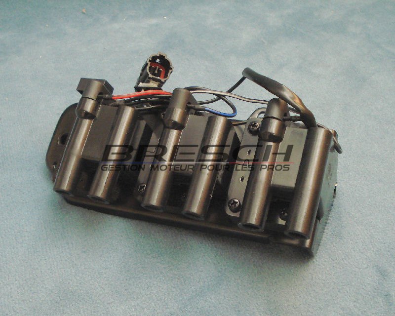 BOBINE 6 SORTIES