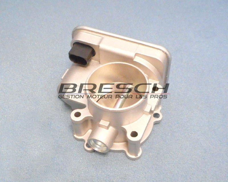 CORPS PAPILLON