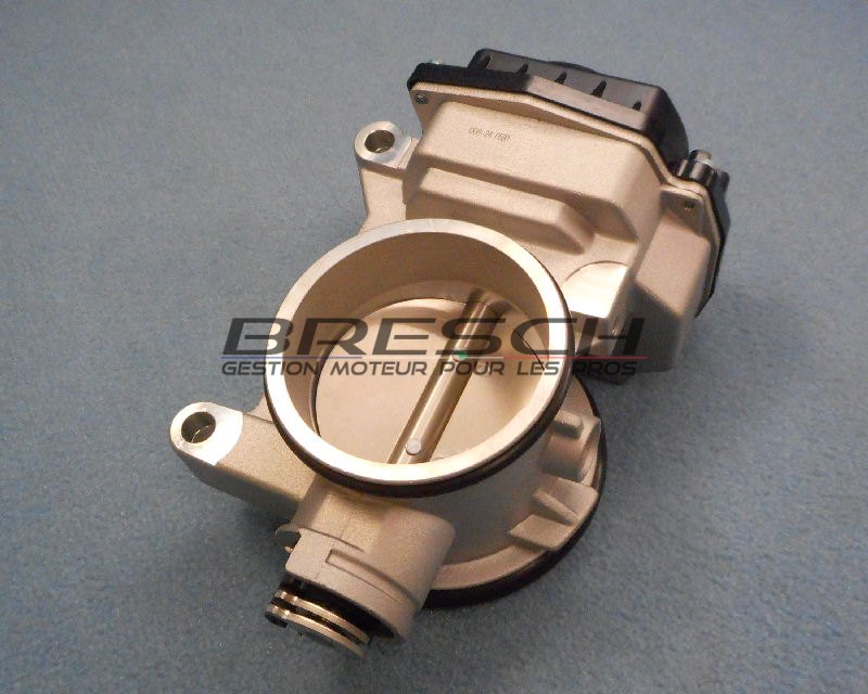 CORPS PAPILLON
