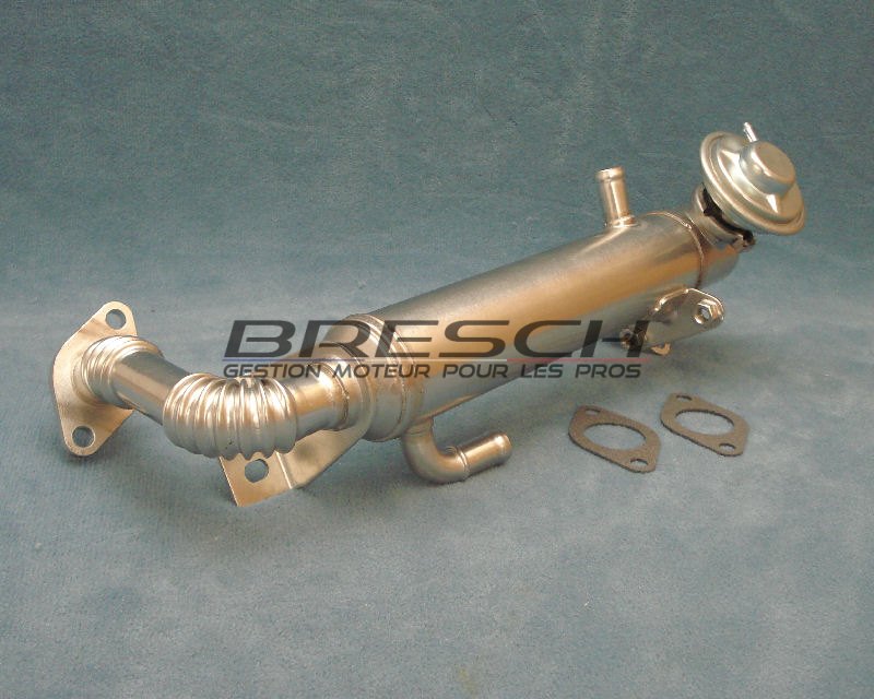 VANNE EGR PNEU + RADIA