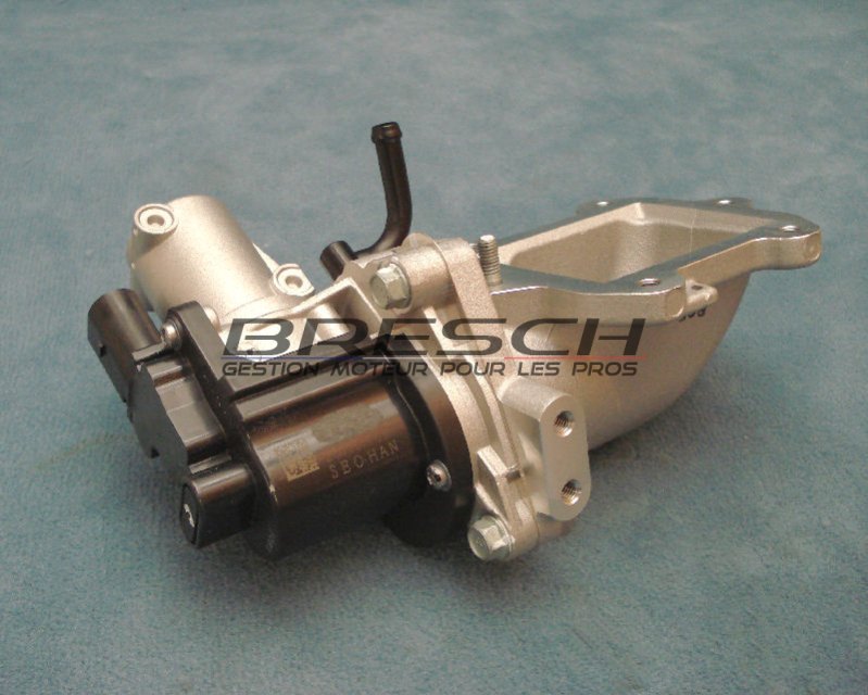MODULE EGR COMPLET