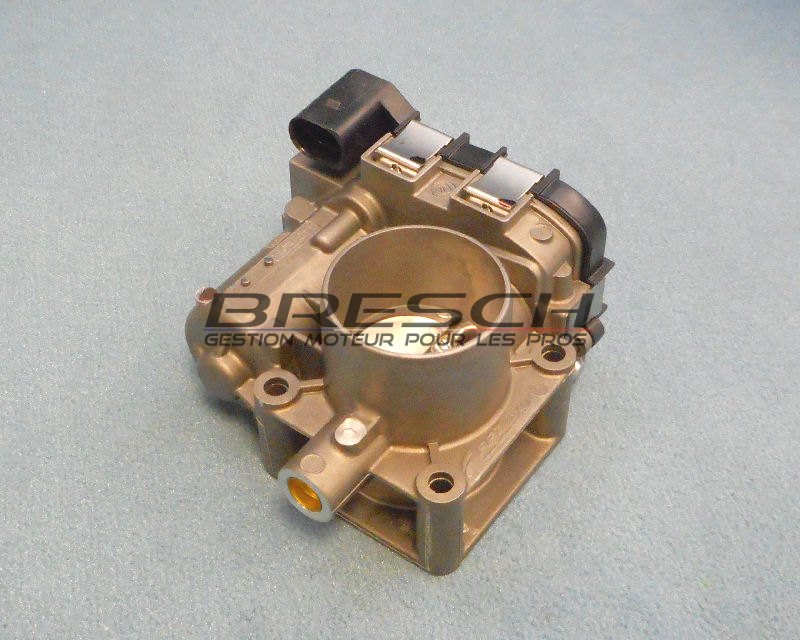 CORPS PAPILLON