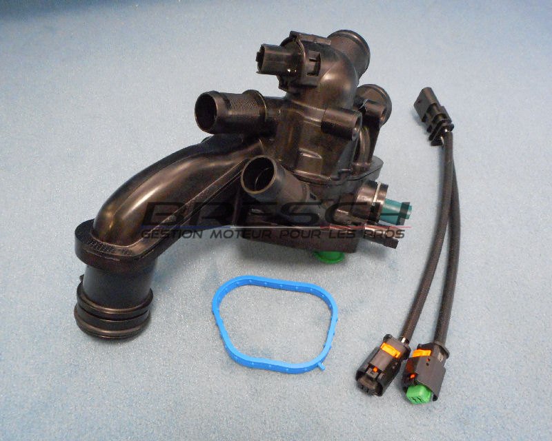 BOITIER THERMOSTAT + CABLAGE